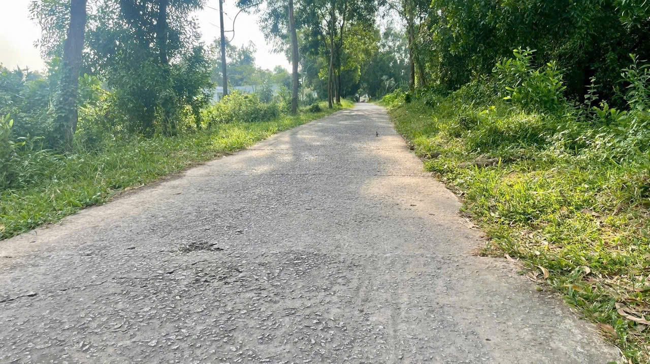 Đất nền Cà Mau 1230m² giá 660 triệu - Đầu tư sinh lời ngay!