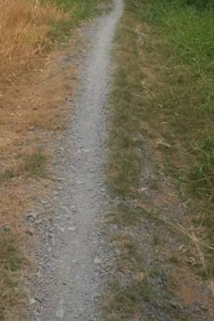 Đất ruộng Mỹ Nhơn, Ba Tri, Bến Tre 2400m² giá chỉ 130 triệu - Cơ hội đầu tư hấp dẫn!