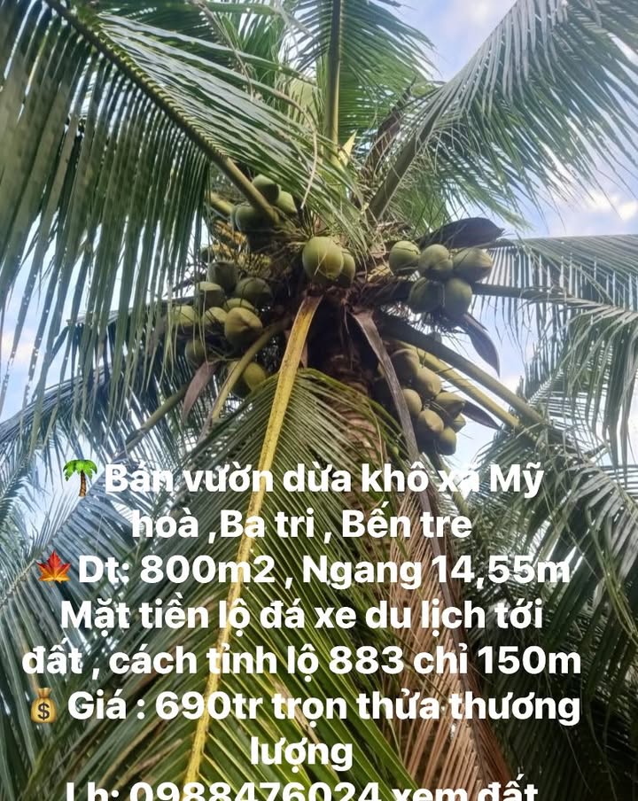 Đất vườn xã Mỹ Hòa, Ba Tri, Bến Tre 800m² giá 690 triệu - Cơ hội đầu tư tuyệt vời!