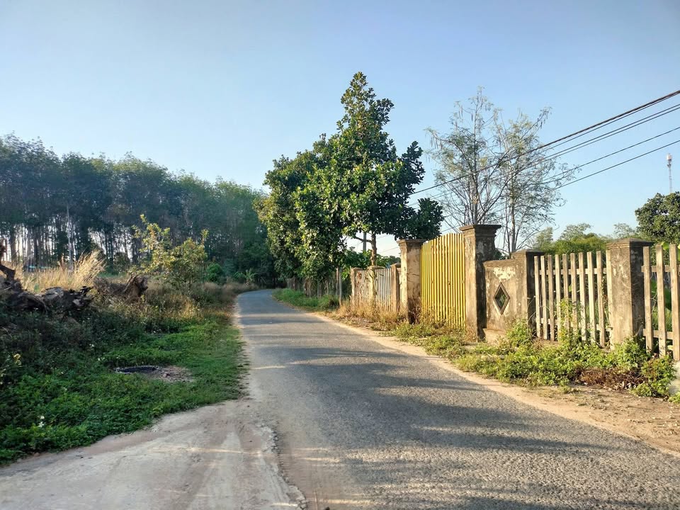 Đất thổ cư 300m² tại Hà Mòn, Đăk Hà, Kon Tum - Giá chỉ 460 triệu!