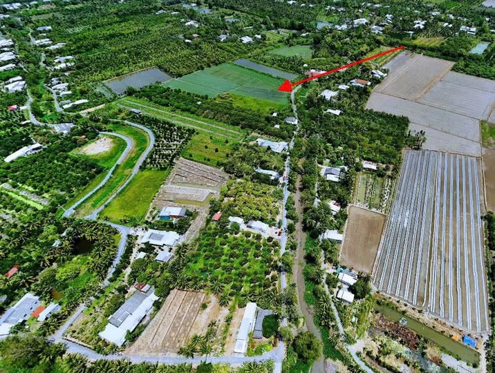 Đất lộ nhựa 6,6 công tại Tân Ngãi, Vĩnh Long - Chỉ 1 tỷ/công!