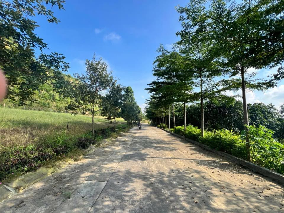 Đất thổ cư 380m² tại Yên Xuân, Quốc Oai - Gần TL446 chỉ 300m!