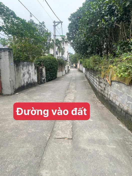 Đất Thư Phú, Thường Tín 75m² giá 4 tỷ - Lô góc, đường thông 4m