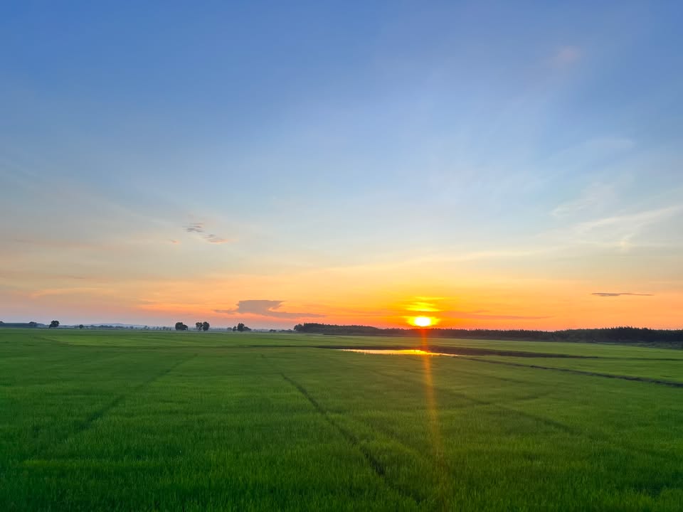 Căn hộ 67m² đường 182, Tăng Nhơn Phú A, 6.2 tỷ - Đầu tư sinh lời ngay!