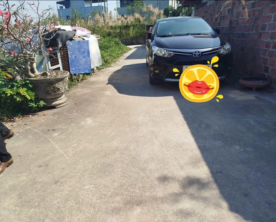 Đất nền Hoàng Động, Thủy Nguyên 59m² giá 1.1 tỷ - Đầu tư sinh lời ngay!