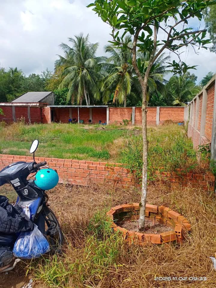 Đất nền mặt tiền đường TL901, Càng Long, Trà Vinh 551m² - Giá tốt chính chủ, thương lượng!