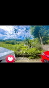 Đất nở hậu Tản Lĩnh Ba Vì 181m² giá 1 tỷ - Cơ hội đầu tư tuyệt vời!