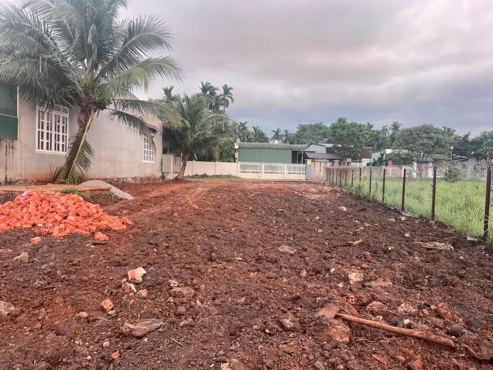 Đất nền thôn Toàn Thắng, xã Quảng Phú, 462m² giá 1.65 tỷ - Pháp lý rõ ràng, đầu tư lý tưởng!