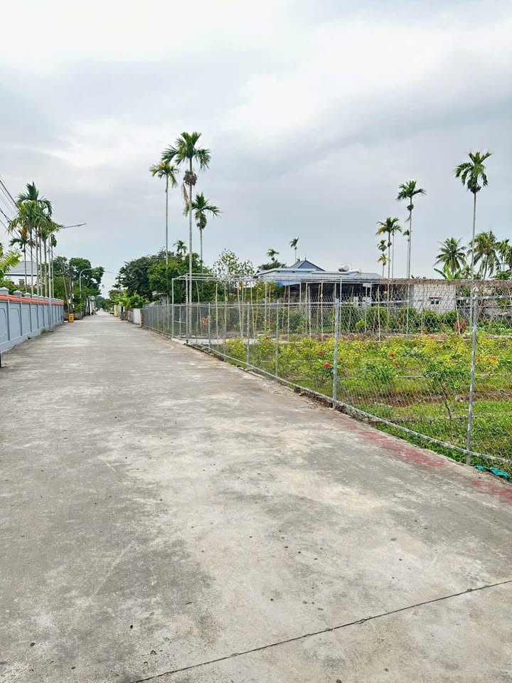 Đất nền TDP Văn Xá, An Dương, Hải Phòng 65m² - Sổ hồng chính chủ giá chỉ 810 triệu!