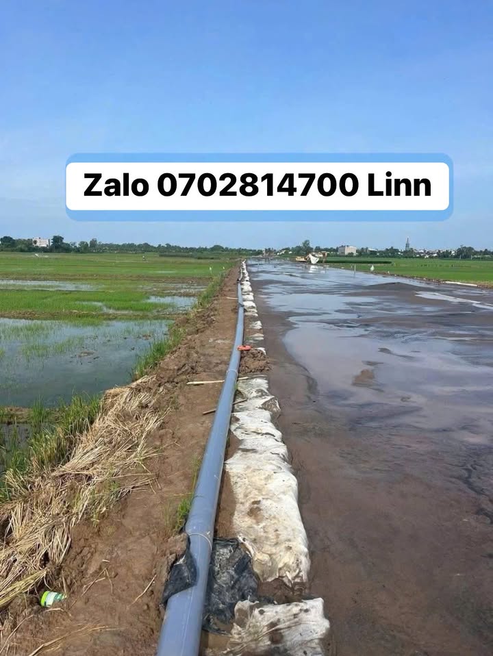 Đất nông nghiệp Gò Công Đông 40,000m² giá chỉ 5.1 tỷ - Cơ hội đầu tư tốt!