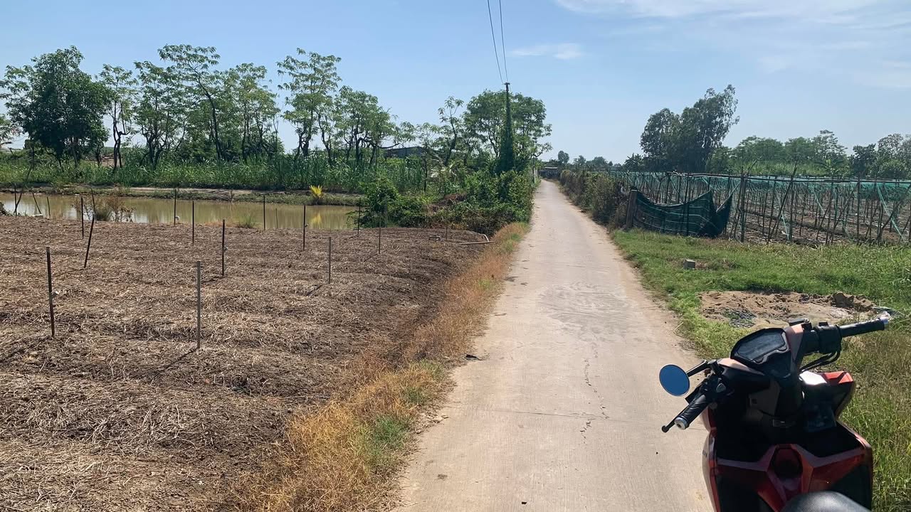 Đất thổ cư 100m² tại Bình Nghị, Gò Công Đông, Tiền Giang - Giá chỉ 315 triệu!