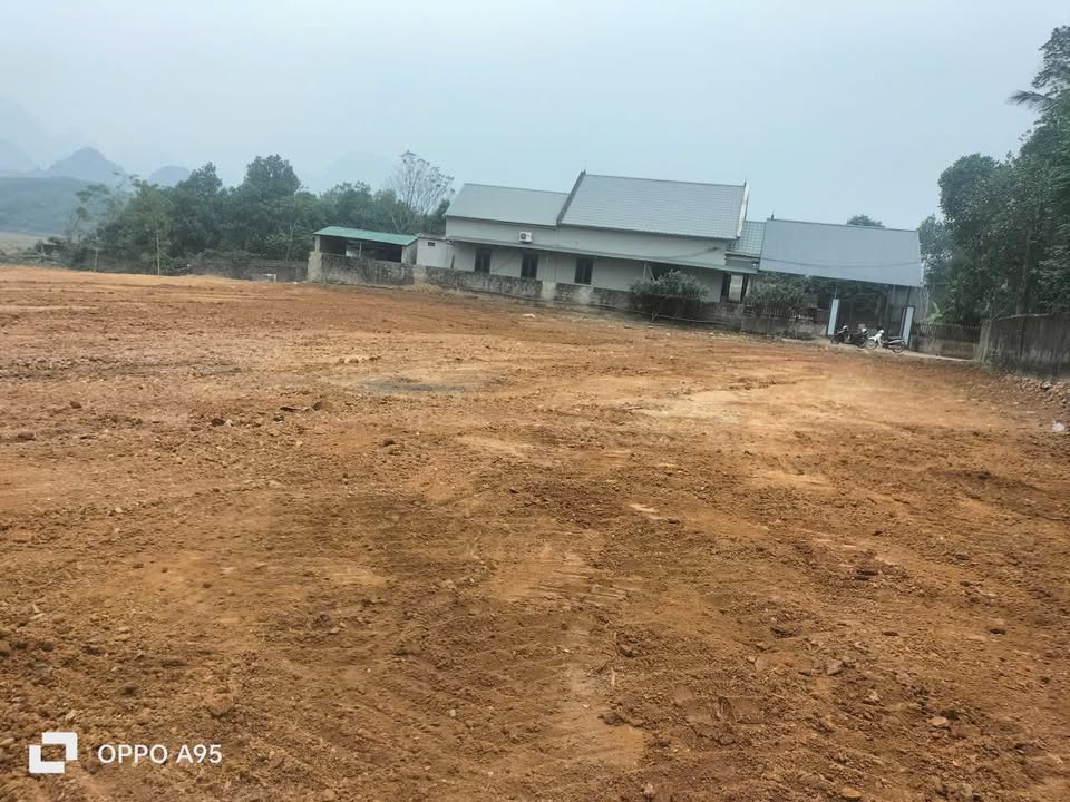 Đất thổ cư 1882m² tại An Nghĩa, Phú Thọ - Lô góc 2 mặt tiền, tiềm năng sinh lời cao!