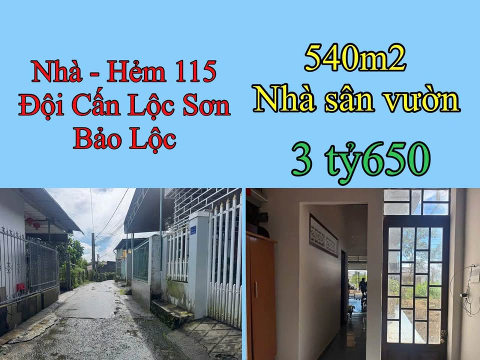 Nhà hẻm 115 Đội Cấn, Lộc Sơn Bảo Lộc 540m² giá 3.65 tỷ - Không gian sống lý tưởng!