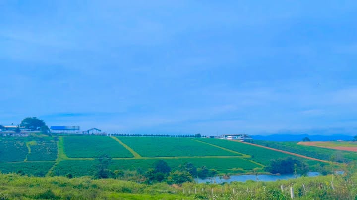 Đất nền thôn 5 Lộc Quảng 1800m² giá 4.1 tỷ - View hồ, đồi trà tuyệt đẹp!