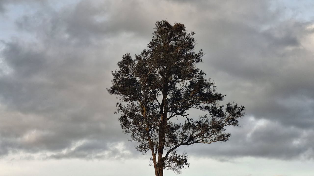 Đất nông nghiệp Tân Thanh 16.000m² giá 8.16 tỷ - Đầu tư sinh lời ngay!