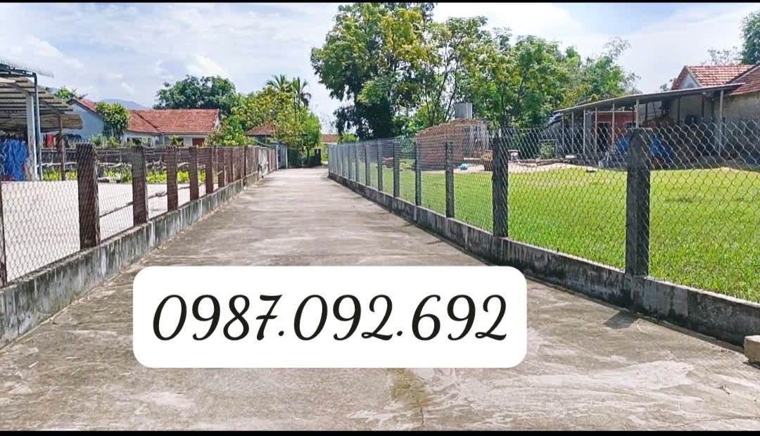 Lô đất đẹp Phong An, xã Cát Trinh, huyện Phù Cát 127m² giá chỉ 300 triệu - Tiềm năng tăng giá mạnh!