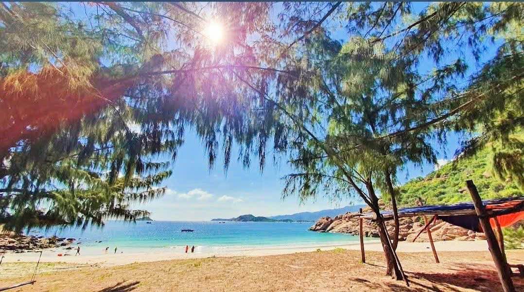 Đất biển Hoài Hải - Bình Định 280m² giá 3.6 tỷ - Đầu tư sinh lời ngay!