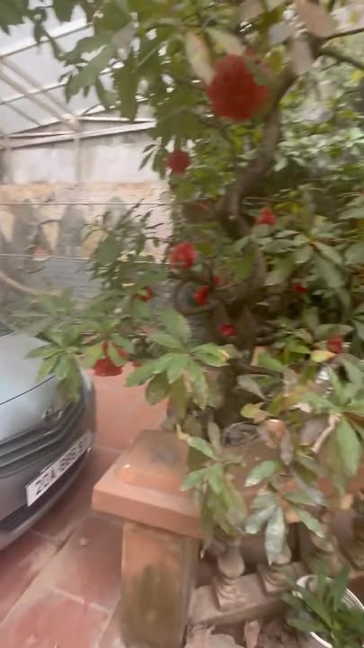 Nhà riêng cho thuê tại Đường Đê Nông Lâm, Thái Nguyên - Không gian rộng rãi, tiện nghi hoàn hảo!