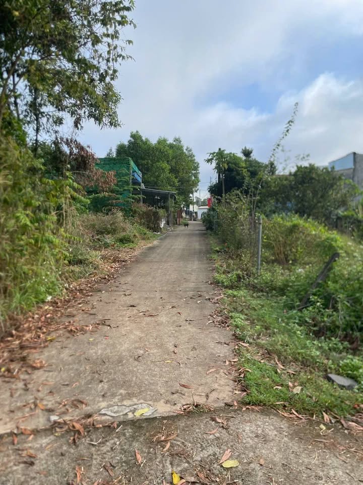 Đất thổ cư Kp3 Vĩnh An, Vĩnh Cửu 100m² giá 820 triệu - Cơ hội đầu tư hấp dẫn!