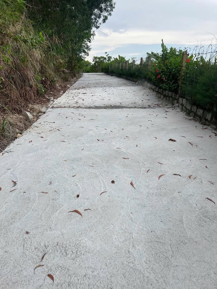 Đất vườn Suối Cát - Cam Lâm 29.239m² giá 2.55 tỷ - Đường ô tô vào tận nơi!