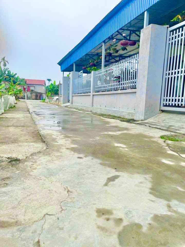 Đất nền An Khánh, An Lão 64.5m² giá 500 triệu - Cơ hội đầu tư hấp dẫn!