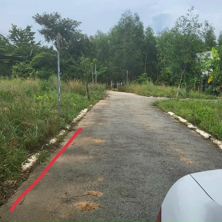 Đất nền Tân Định Bến Cát 100m² giá 1.05 tỷ - Đầu tư sinh lời ngay!