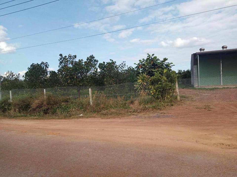 Đất nông nghiệp 28,537.7m² tại xã Ea Pô, huyện Cư Jút - Giá chỉ 8 tỷ VND!