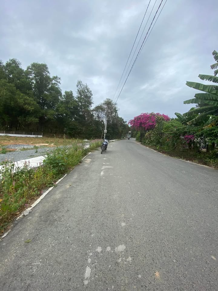 Đất nền Định Hòa Thủ Dầu Một 60m² giá 1.8 tỷ - Vị trí đắc địa, giao thông thuận lợi!