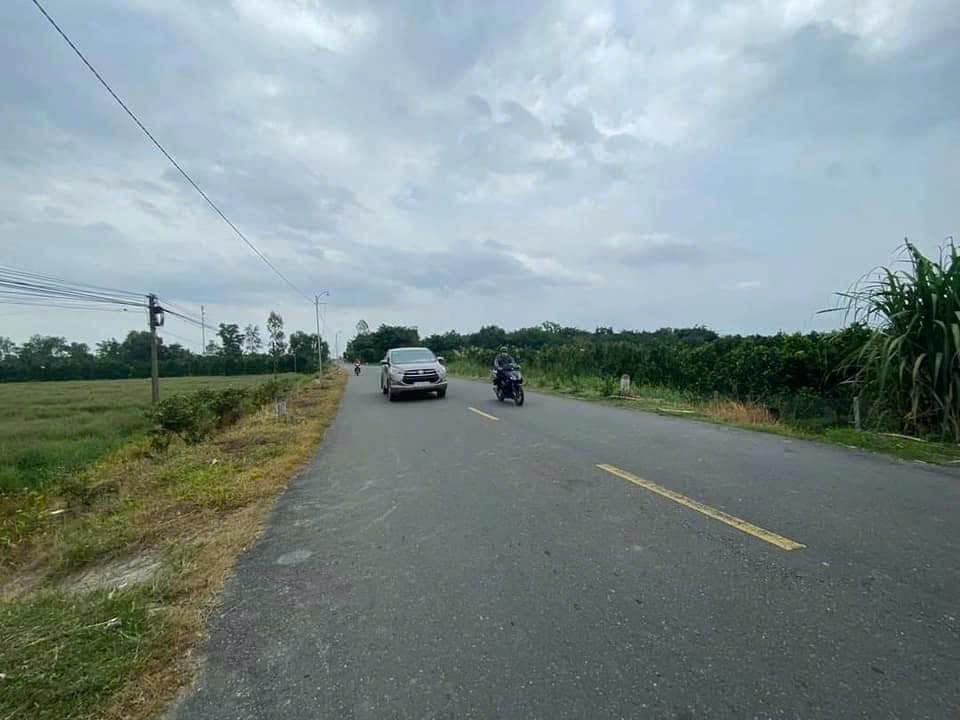 Đất nông nghiệp Xã Thành Trung 18,000m² giá 700 triệu - Cơ hội đầu tư hấp dẫn!