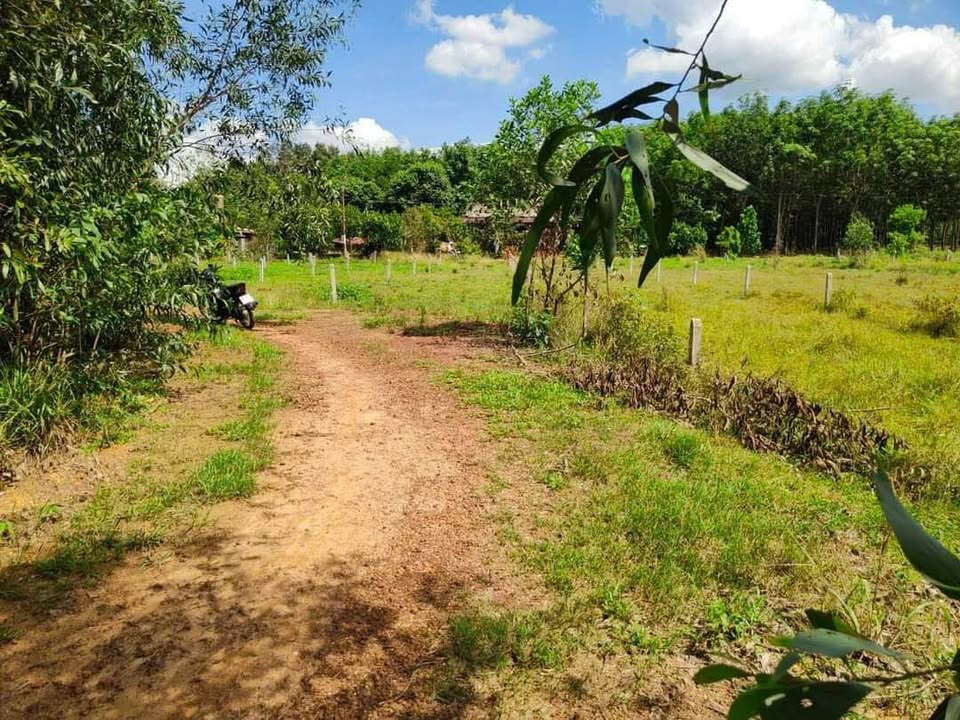 Đất nền An Lập Dầu Tiếng 6700m² giá chỉ 3.2 tỷ - Đầu tư sinh lời ngay!