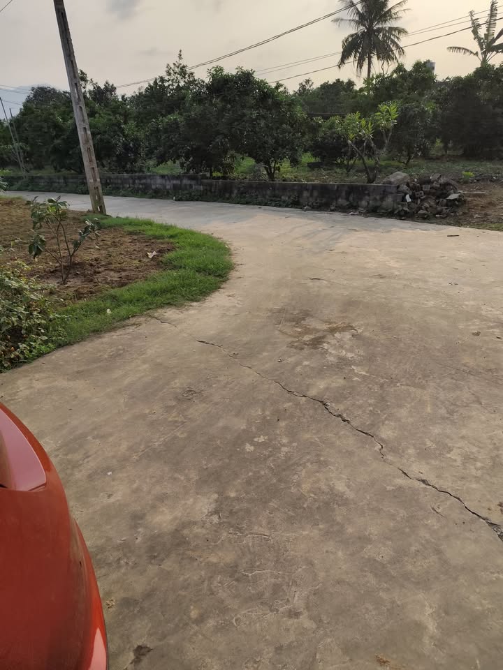 Bán đất tặng nhà cấp 4 tại Bình Sơn, Lục Nam, 560m² - Đầy đủ tiện nghi chỉ việc vào ở!