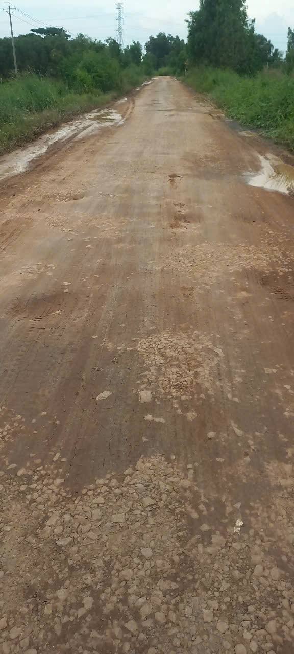 Đất nền 8400m² xã Thạnh An, Long An giá 6.2 tỷ - Cơ hội đầu tư lý tưởng!