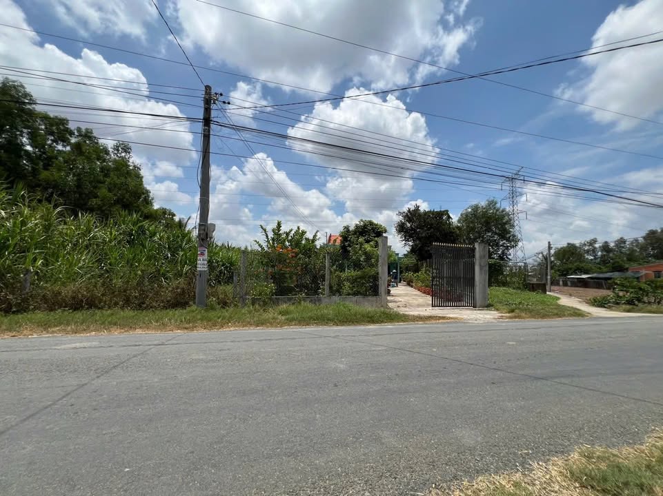 Bán nhà vườn mặt tiền đường Xã Tân Trạch, huyện Cần Đước, 650m² - Đi vào ở ngay!