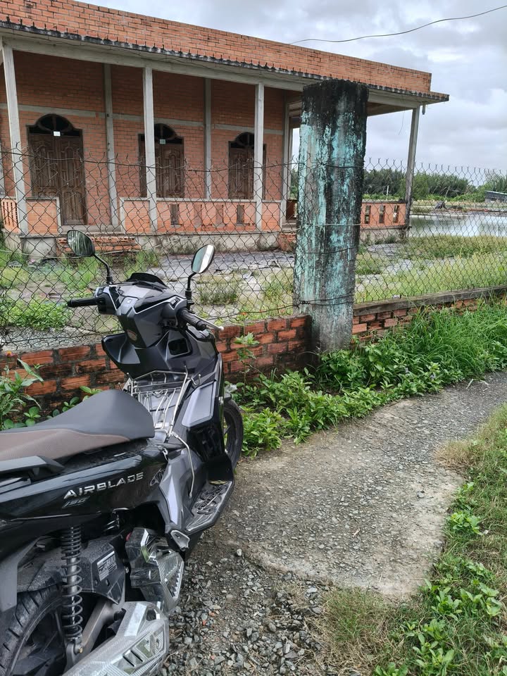 Đất thổ cư 1500m² xã Nhựt Ninh, Tân Trụ giá 1.7 tỷ - Cơ hội đầu tư tuyệt vời!