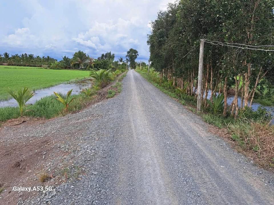 Đất nền 1500m² tại Ấp 1, xã Tân Thành, Thủ Thừa chỉ 450 triệu - Đất lúa lên thổ, mặt tiền rộng 80m!