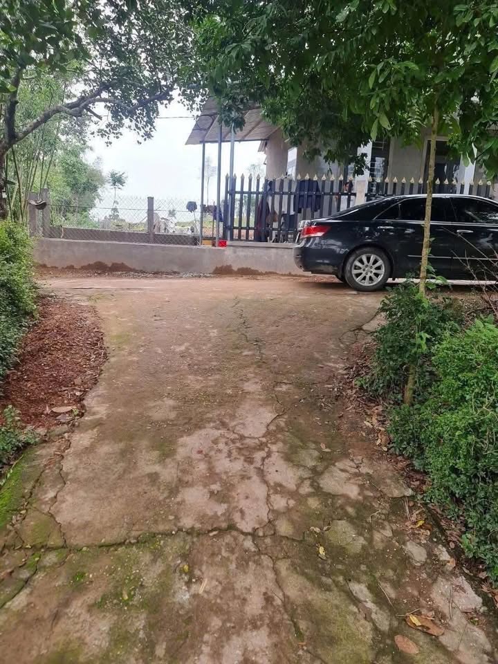 Đất mặt tiền Thích Tịnh Khiết 201m² giá 2.2 tỷ - Đầu tư sinh lời ngay!