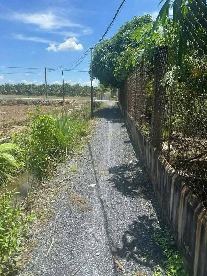 Đất thổ cư Lợi Bình Nhơn 166m² giá 550 triệu - Đầu tư sinh lời lý tưởng!