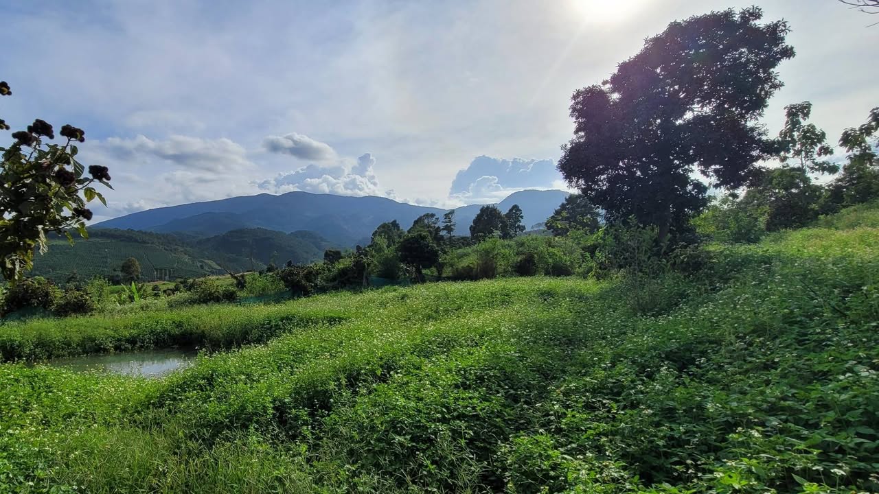 Đất nền Gia Hiệp 2000m² giá 600 triệu - Sổ đỏ chính chủ, vị trí đẹp!