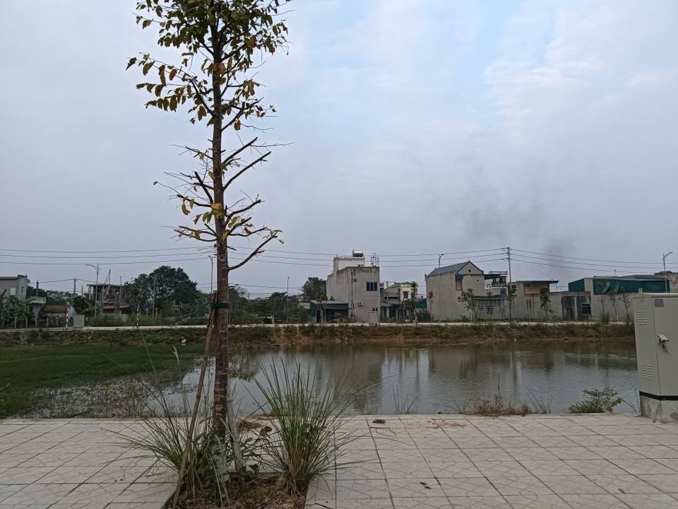 Đất nền Đông Quang, Thanh Hóa 110m² giá 1 tỷ - Đầu tư sinh lời ngay!