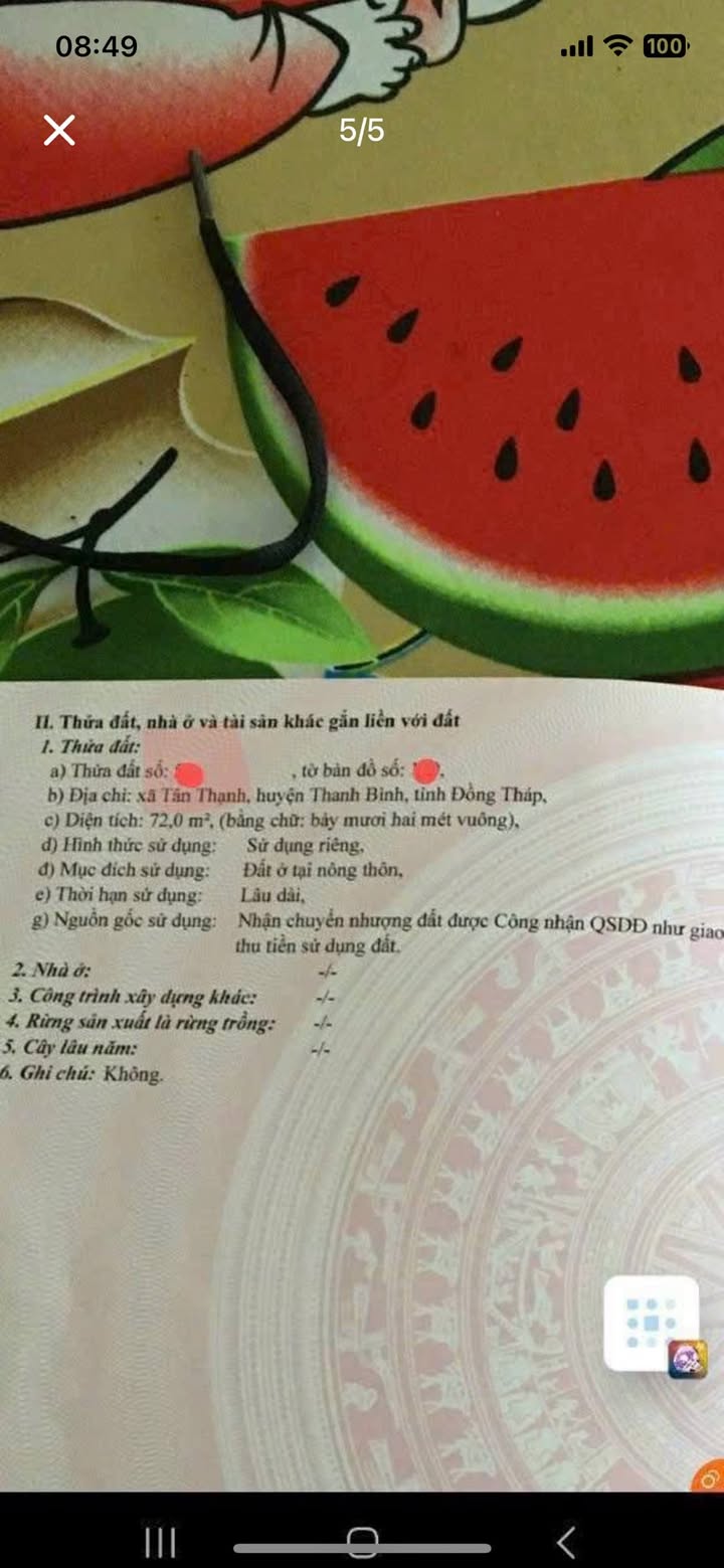 Đất nền mặt tiền Quốc lộ 30, xã Tân Thạnh, 72m² giá 1 tỷ - Đầu tư sinh lời hấp dẫn!