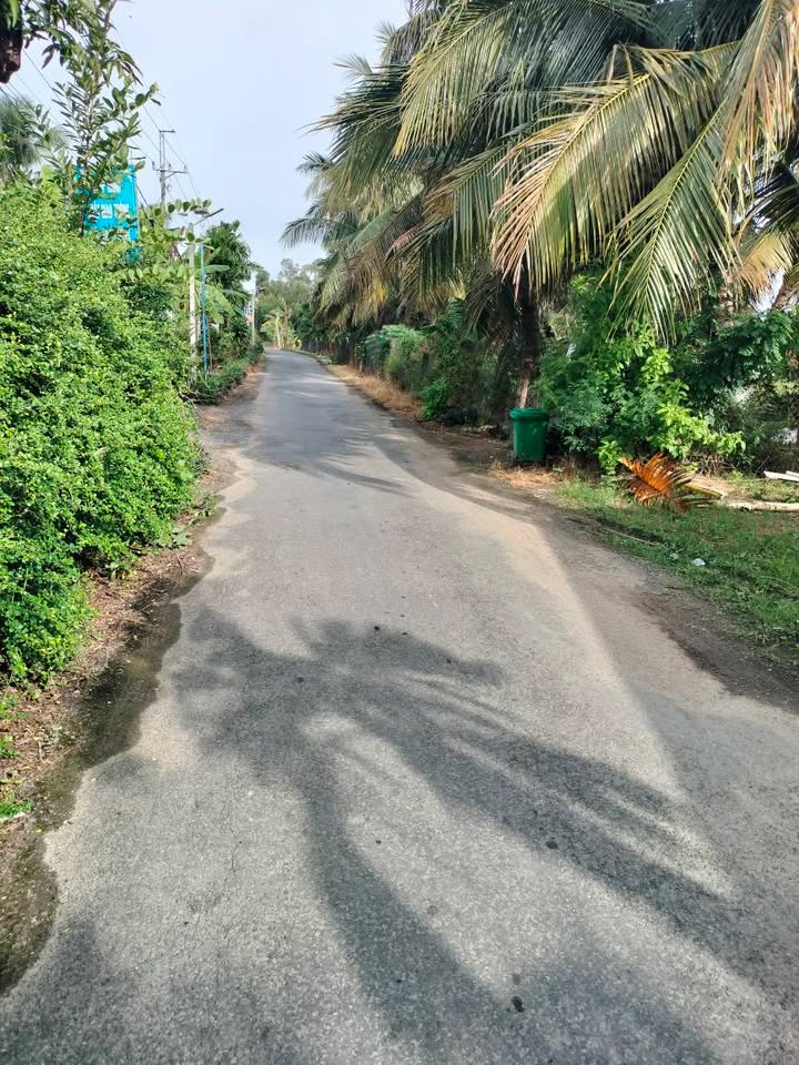 Đất thổ cư 700m² xã Tháp Mười 1529m² giá 1.9 tỷ - Chính chủ bán gấp!