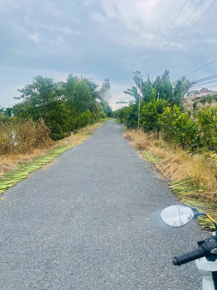 Đất nền mặt tiền đường nhựa Tân Phú 800m² giá 600 triệu - Cơ hội đầu tư tuyệt vời!