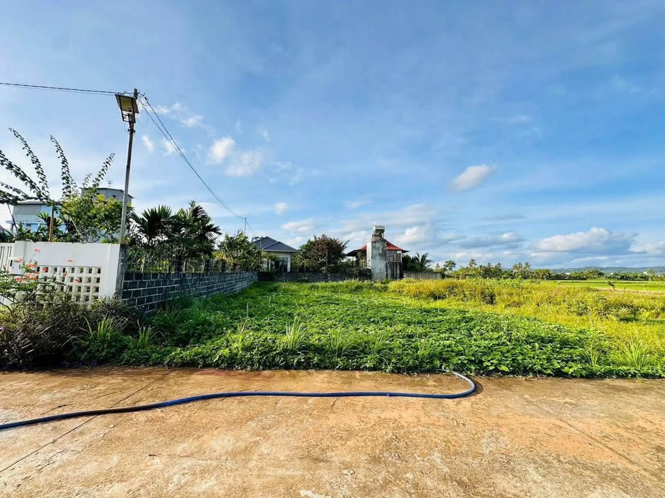 Đất nền hẻm ô tô Thôn Tân Hưng - Phường Ea Kao 160m² giá 990 triệu - Đầu tư sinh lời ngay!