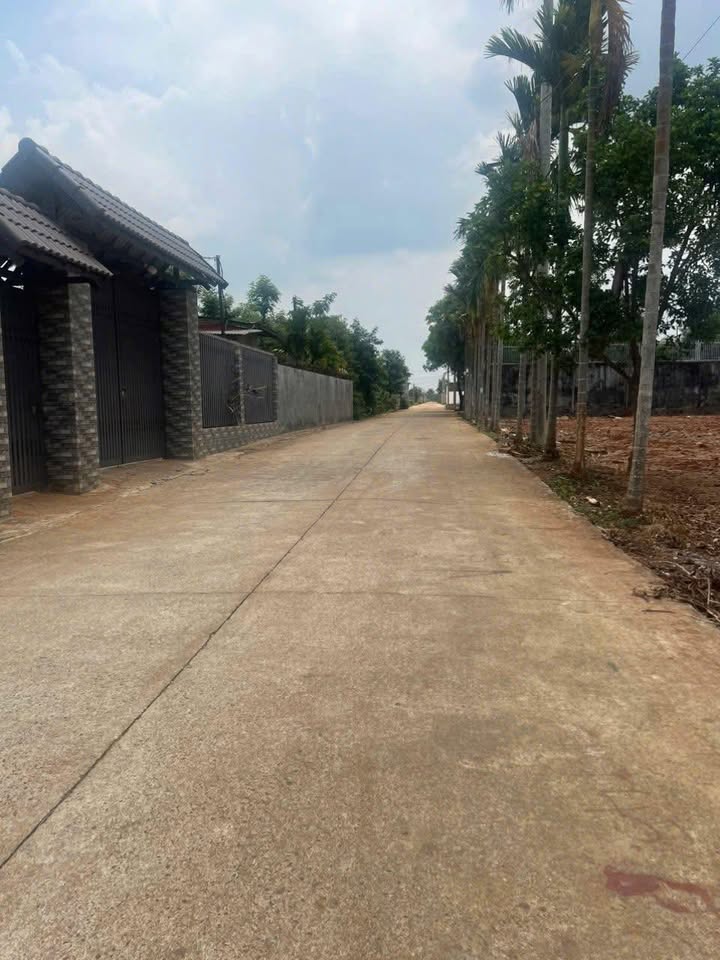 Đất hẻm cấp 1 Kho Thái Phúc, Cư Suê 200m² giá 1.65 tỷ - Sổ đỏ chính chủ!