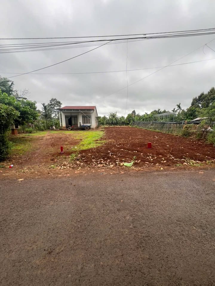 Đất mặt tiền kinh doanh tại Hoà Thắng, Buôn Ma Thuột 175m² giá 1.89 tỷ - Cơ hội vàng cho nhà đầu tư!