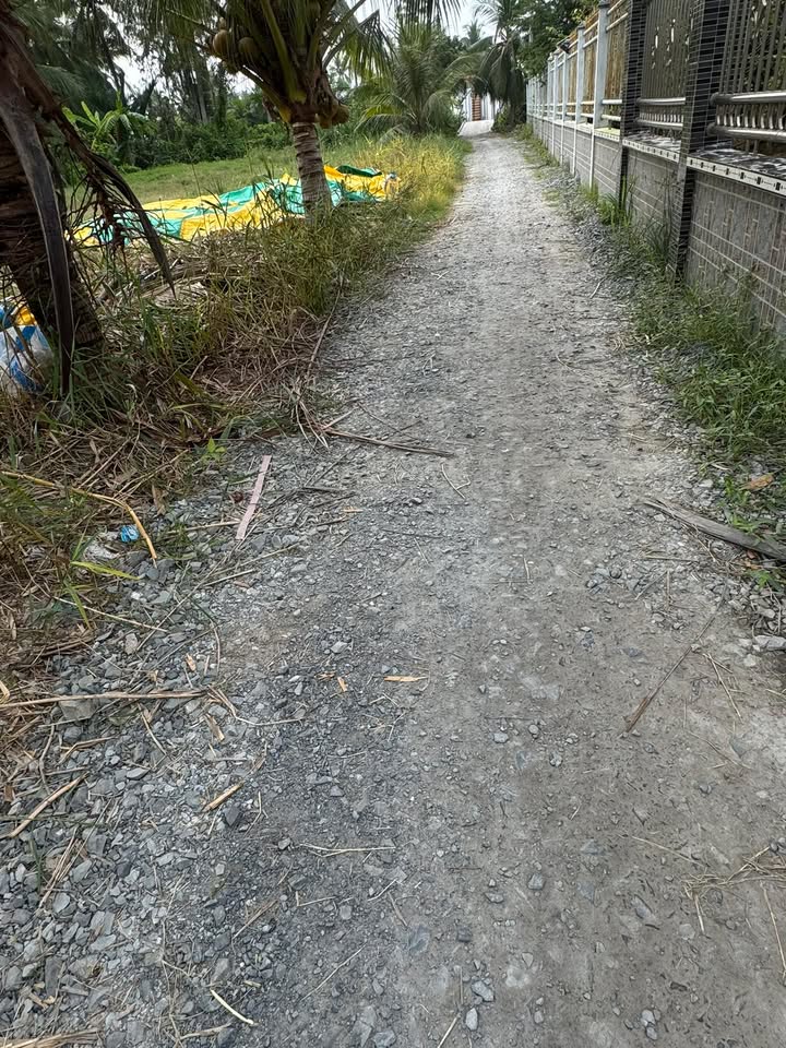 Đất nền 2.000m² xã Bình Phan, Tiền Giang - Giá chỉ 350 triệu, sổ hồng đầy đủ!