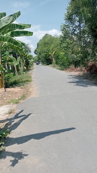 Đất mặt tiền huyện lộ 59, xã Mỹ Hạnh Đông, 1500m² giá 2.2 tỷ - Cơ hội đầu tư lý tưởng!