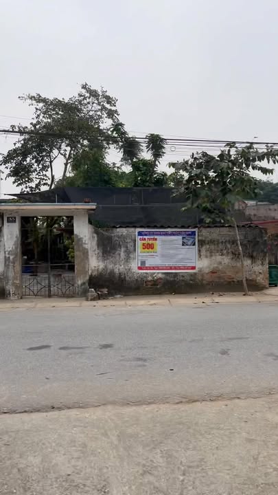 Đất thổ cư Hậu Lộc 92m² giá 850 triệu - Gần chợ, trường học!