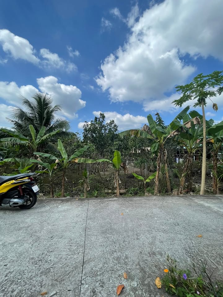 Đất thổ cư Đạo Thạnh, Mỹ Tho 227m² giá 1.1 tỷ - Khu dân cư sầm uất!