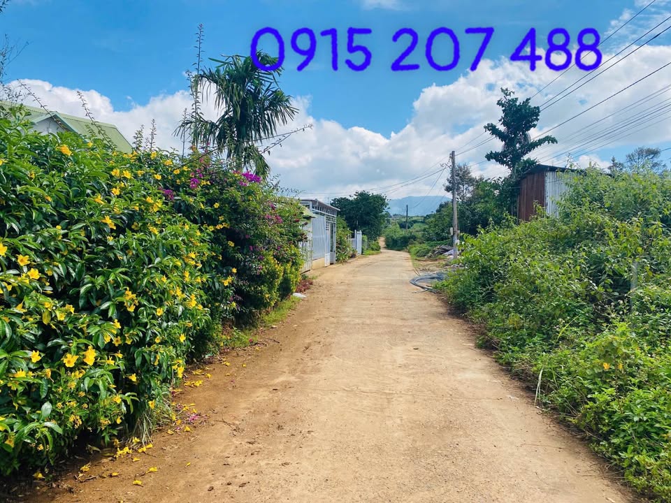 Đất cư xá Cây Số 3, Hiệp Thạnh 100m² giá 1.3 tỷ - Cơ hội đầu tư hấp dẫn!